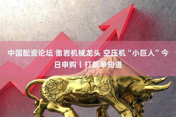 中国配资论坛 凿岩机械龙头 空压机“小巨人”今日申购丨打新早知道