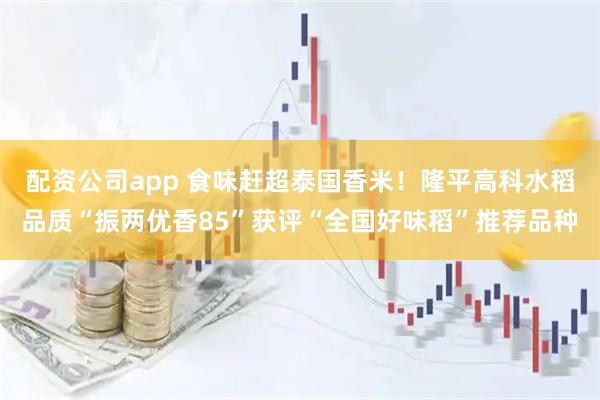 配资公司app 食味赶超泰国香米！隆平高科水稻品质“振两优香85”获评“全国好味稻”推荐品种